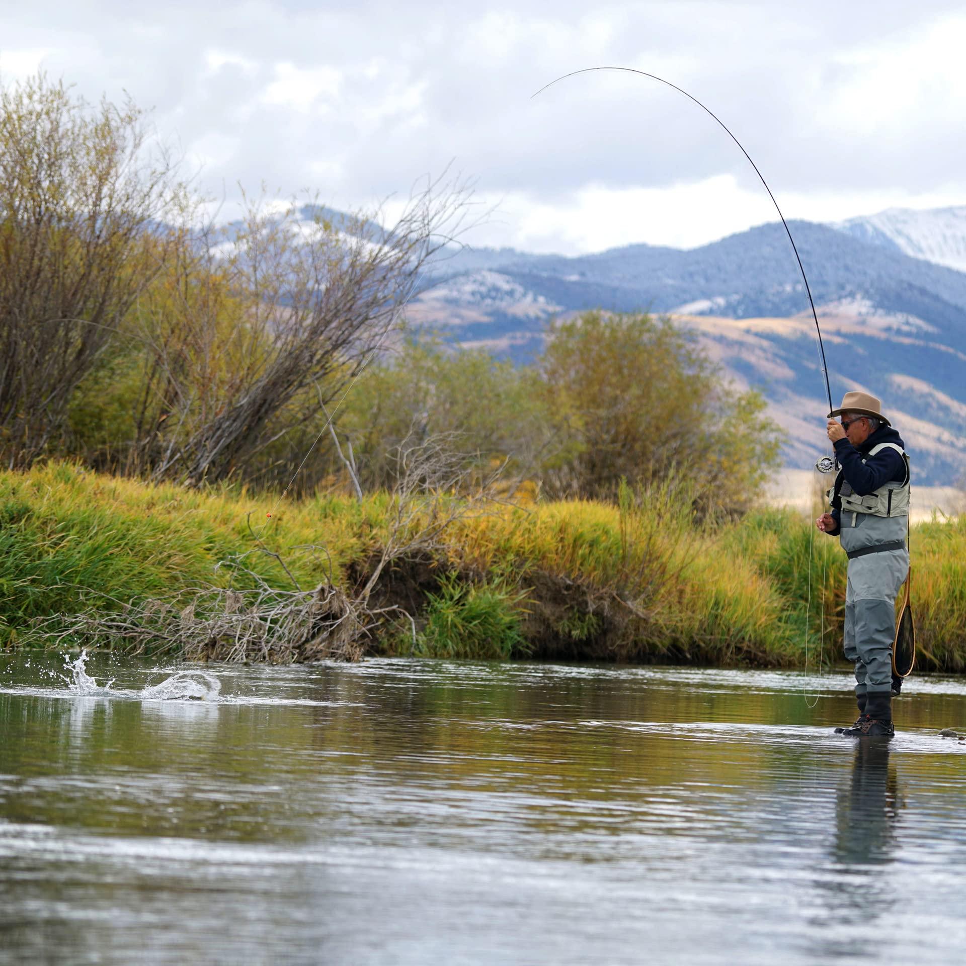 Amazon.co.jp: The Fly Fishing Place パラシュート パープルヘイズ